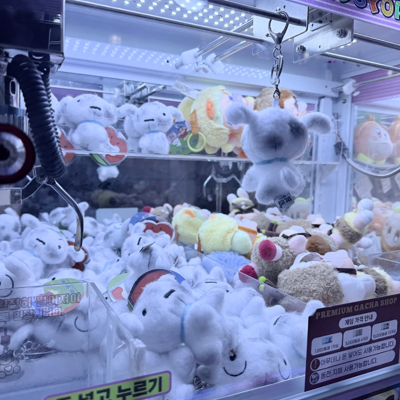 포스트 이미지 2